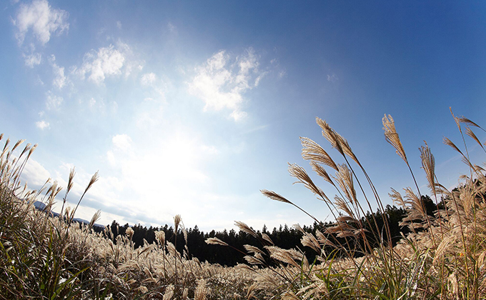 Samyang 8mm F3.5 UMC Fish-Eye CS II Lens